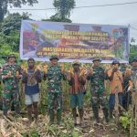 Wujud Kemanunggalan TNI Dengan Rakyat, Satgas Yonif 122/TS Laksanakan Panen Raya Jagung Bersama Masyarakat Perbatasan RI-PNG