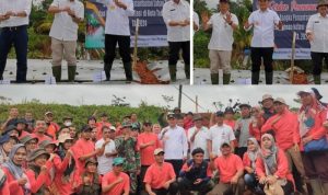 Pj. Walikota Didampingi oleh Sekda Kota Tasikmalaya, Hadiri Acara “Launching Penanaman Cabai di Lahan Tidur” di TPU Aisha Rashida