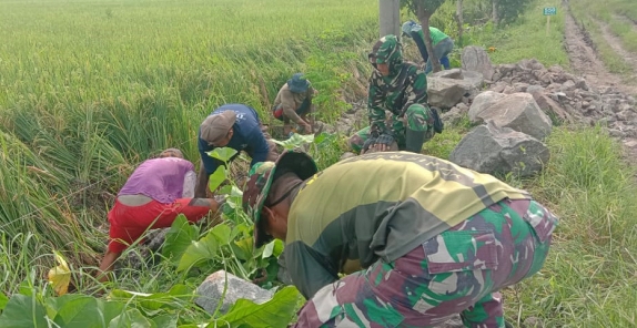 Cuaca Cerah Anggota Satgas TMMD 119 Kodim 0725/Sragen & Warga Kebut Kerjaan Talud