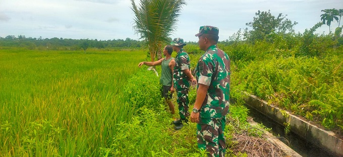 Wujudkan Swasembada Pangan Di Wilayah, Dandim 1710/Mimika Tinjau Lahan Kosong  Untuk Rencana Dibuka Menjadi Lahan Persawahan Agar Menjadi Produktif