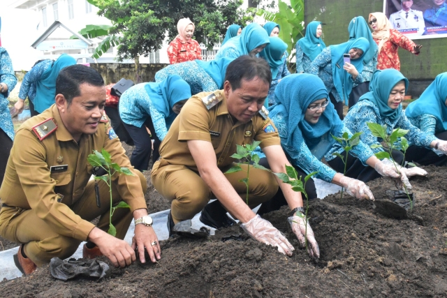 Tim Penggerak PKK Kabupaten OKI Tanam 250 Bibit Cabai