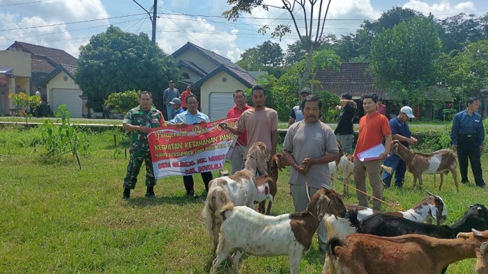 Babinsa Wonosegoro Berperan Aktif Dalam Sosialisasi Peternakan di Balai Desa Gilirejo