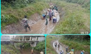 ----- 1 Sukseskan Tanam Gadu, Koramil 02/Way Bungur Gotong-royong Bersihkan Saluran Irigasi