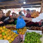 Momen Presiden Jokowi Belanja Buah dan Sayur di Pasar Buah Berastagi Kab.Karo