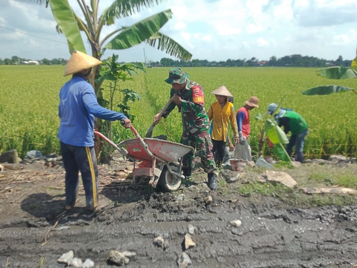 Cegah Longsor, Babinsa Desa Plosorejo Bangun Talud