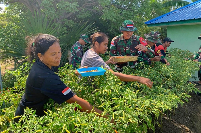 Pos Oepoli Tengah Satgas Yonkav 6/Naga Karimata Kembangkan Lahan Pertanian Sederhana Untuk Masyarakat Perbatasan