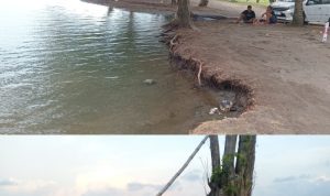 Pemilik Sah SHM Tanjung Cemara Laporkan Dugaan Penyerobotan Tanah