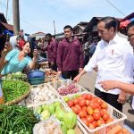 Presiden Jokowi Tinjau Pasar Senggol Dumai, Pastikan Stabilitas Harga Sembako