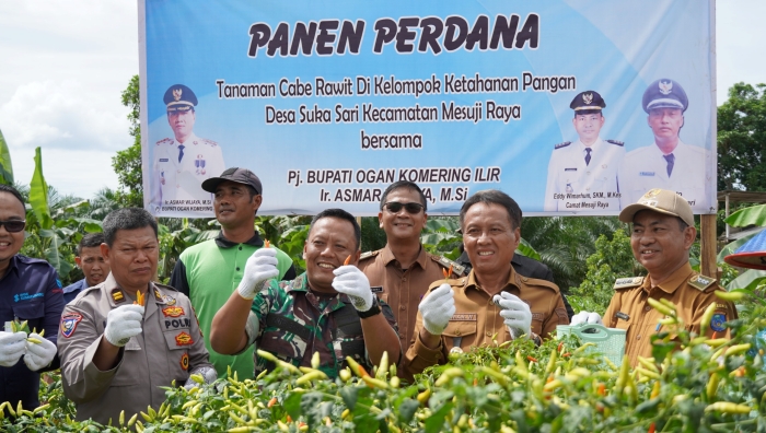 Panen Raya Cabe di OKI Berhasil Tekan Angka Inflasi