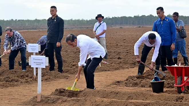 Tanam Tebu Perdana di Merauke, Presiden Jokowi: Pemerintah Fokus Kembangkan Ketahanan Pangan