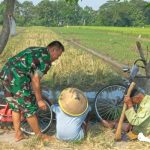 Babinsa Sawit Dukung Ketahanan Pangan Dengan Terjun Langsung Ke Lapangan