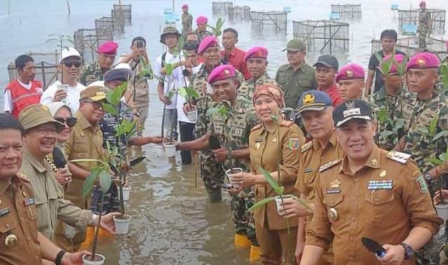 Jelang HUT ke-79 Th Korps Marinir: Brigif 4 Mar/BS Bersama MNC Peduli dan Golden Tulip Tanam Ribuan Mangrove