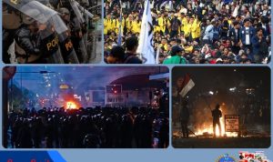 --- 11--1--side -----1-1--------1-crop1