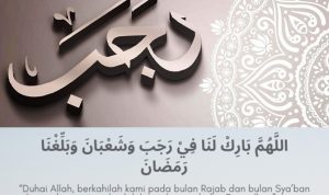 --- 11--1--side -----1-1--------1-crop1--crop1-1