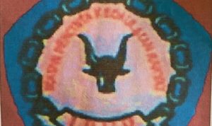 --- 11--1--side -----1-1--------1-crop1--crop1-2