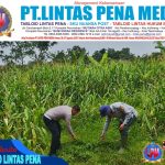 -- 1 foto berita1-0-1
