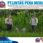 -- 1 foto berita1-0-1
