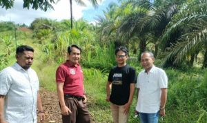 -- 1 foto berita1-01---2----0----12--------