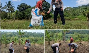 -- 1 foto berita1-01---2----0----12--------