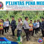 -- 1 foto berita1-01---2----0----12--------