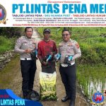 -- 1 foto berita1-01---2----0----12