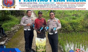 -- 1 foto berita1-01---2----0----12