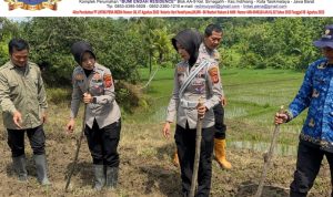 -- 1 foto berita1-01---2----0----12--------Ini